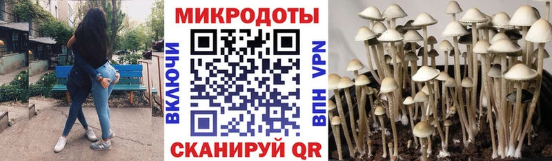 Галлюциногенные грибы Magic Shrooms  даркнет какой сайт  Электрогорск 